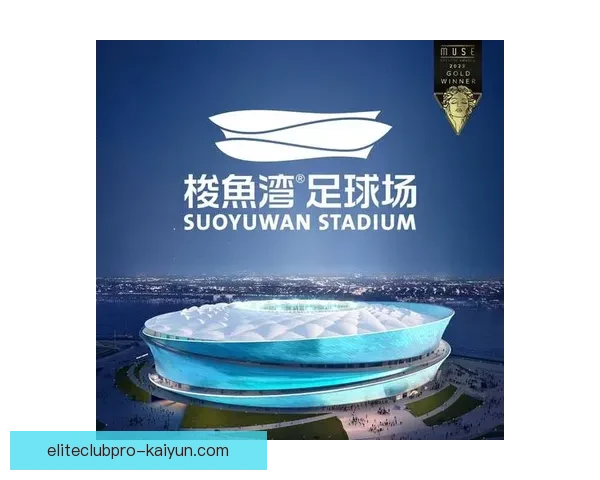 中超球场攻略：球迷必读的场馆全景与观赛小贴士