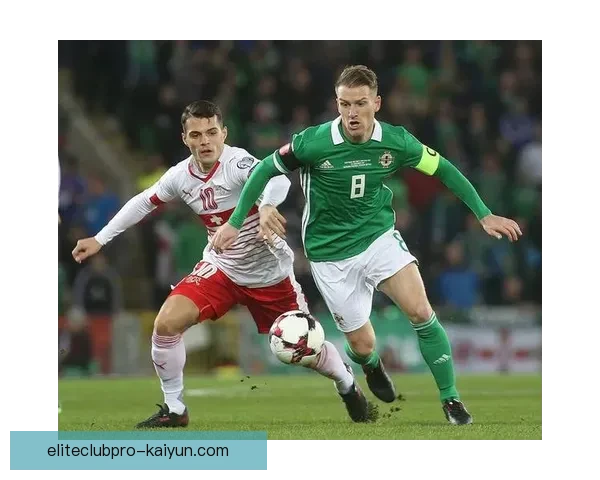 爱尔兰世界杯历史回顾：球队表现与重要赛事成就分析